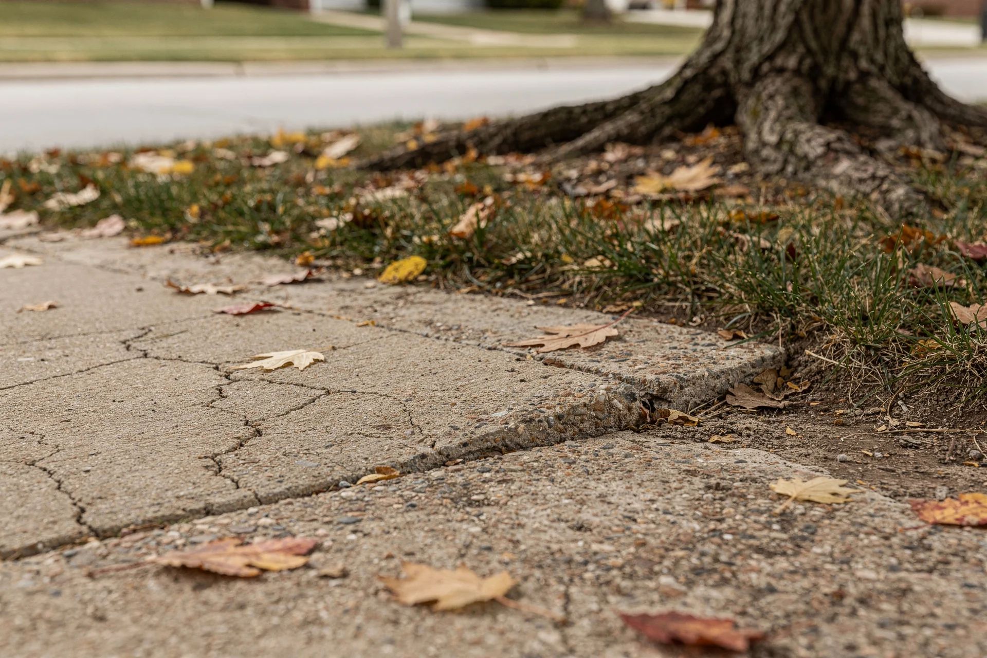 Residential concrete sidewalk with one sunken section next to a lawn
